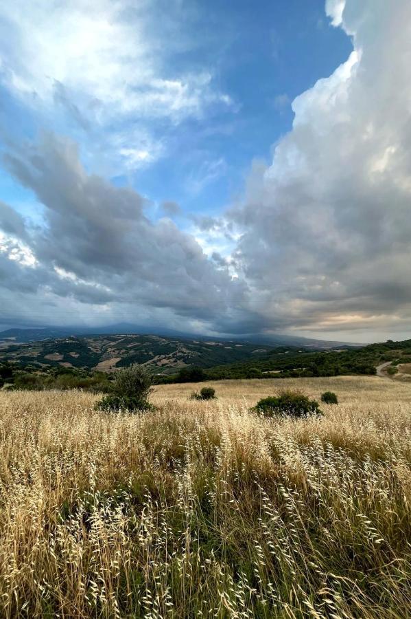 Casa Primavera A Rocca D'Orcia Castiglione d'Orcia Bagian luar foto